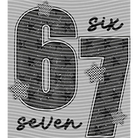 sixty seven-SS 153